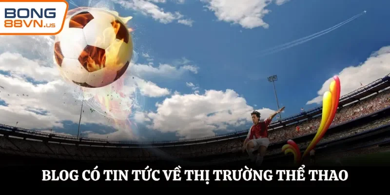 Các bài viết chia sẻ chân thực và hữu ích