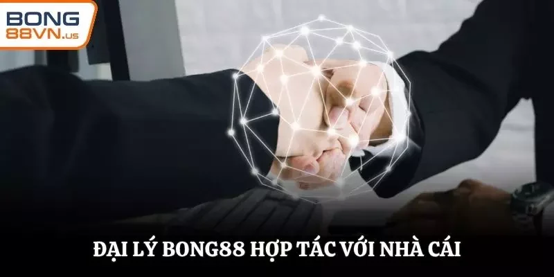 Đại lý BONG88 hợp tác chính thức với nhà cái