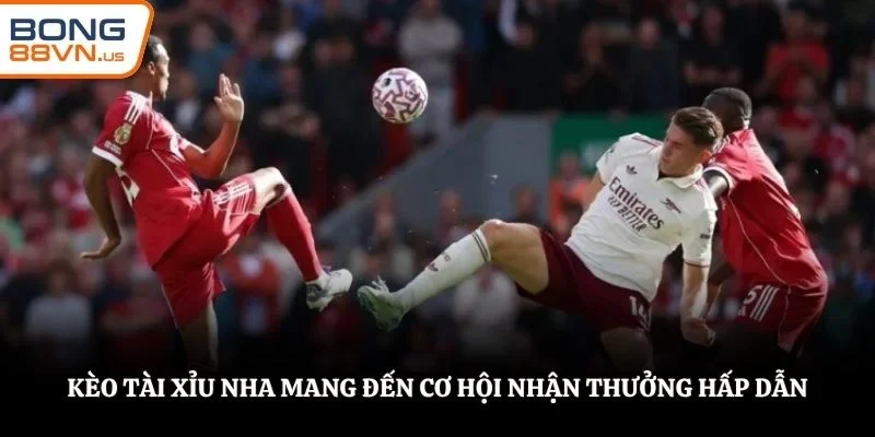 Kèo Tài Xỉu NHA mang đến cơ hội nhận thưởng hấp dẫn