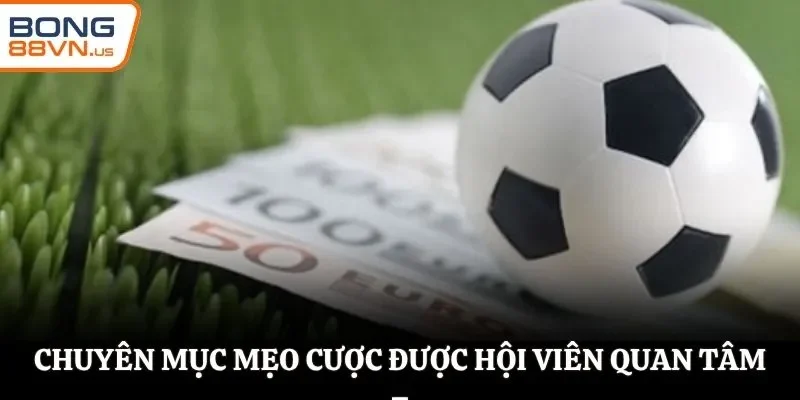 Chuyên mục mẹo cược được hội viên quan tâm