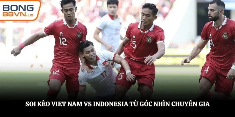 Soi kèo Viet Nam vs Indonesia